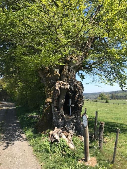 1833 Ardennes Farm Between Bastogne And Houffalize 外观 照片